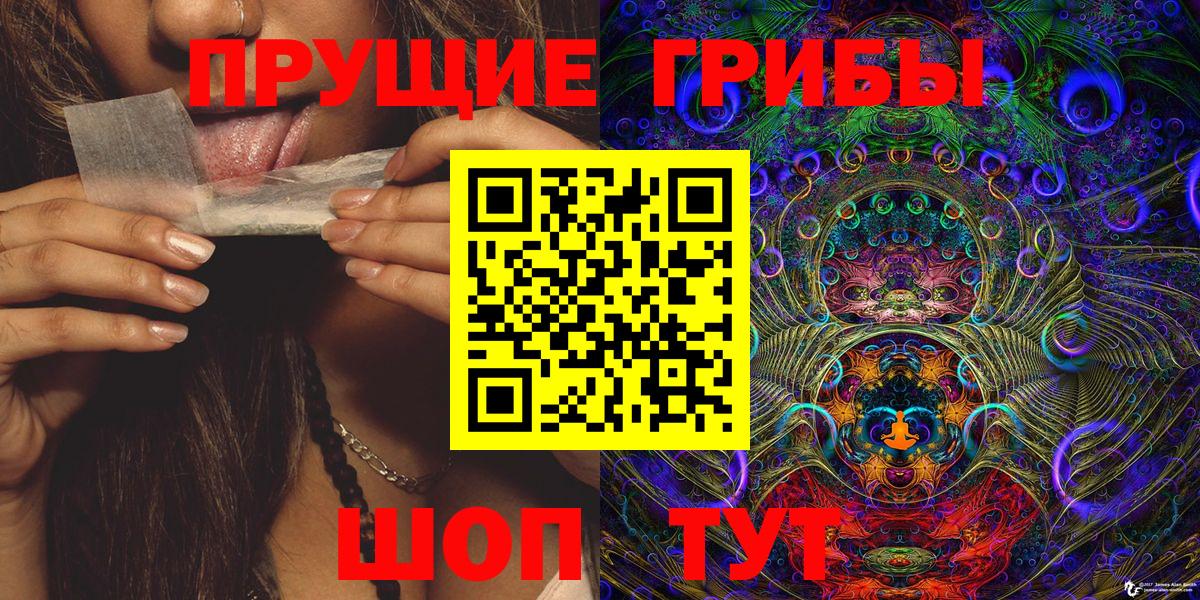 Псилоцибиновые грибы Psilocybe Всеволожск