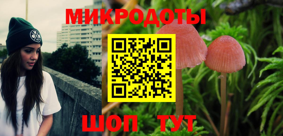 где найти наркотики  Вход с VPN  Всеволожск  Псилоцибиновые грибы Psilocybine cubensis 